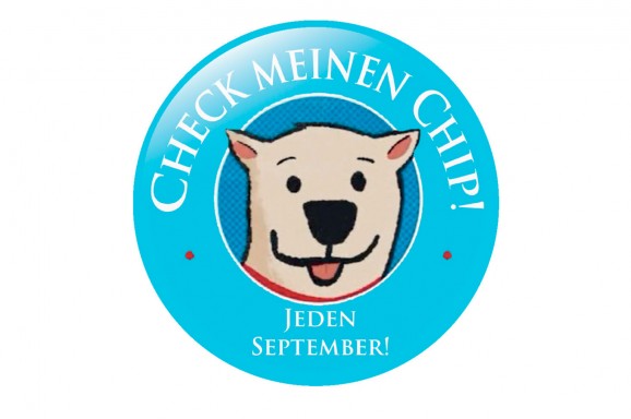 Check meinen Chip – Resümee 2019