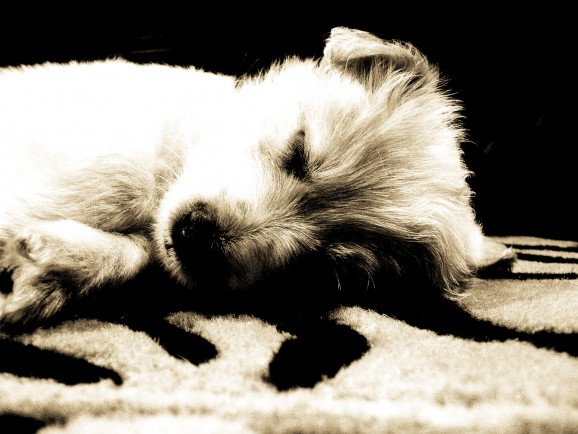 Weihnachten und Silvester