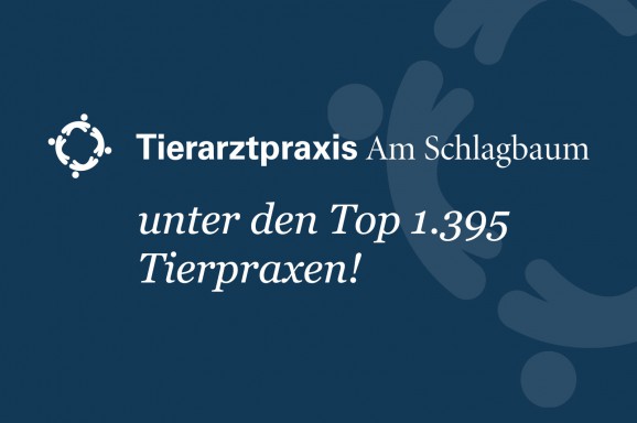 Focus: wir gehören zu den TOP 1.395 Tierarztpraxen!