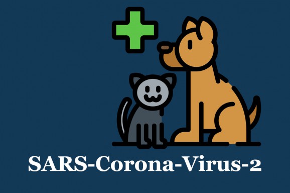 Corona-Virus: Können sich  Hunde und Katzen damit anstecken?