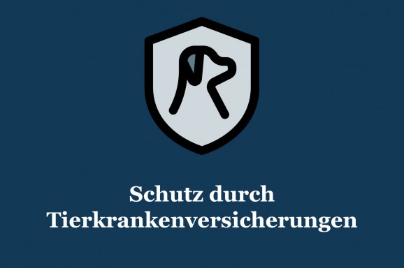 Sinnvoller Schutz durch Tierkrankenversicherungen