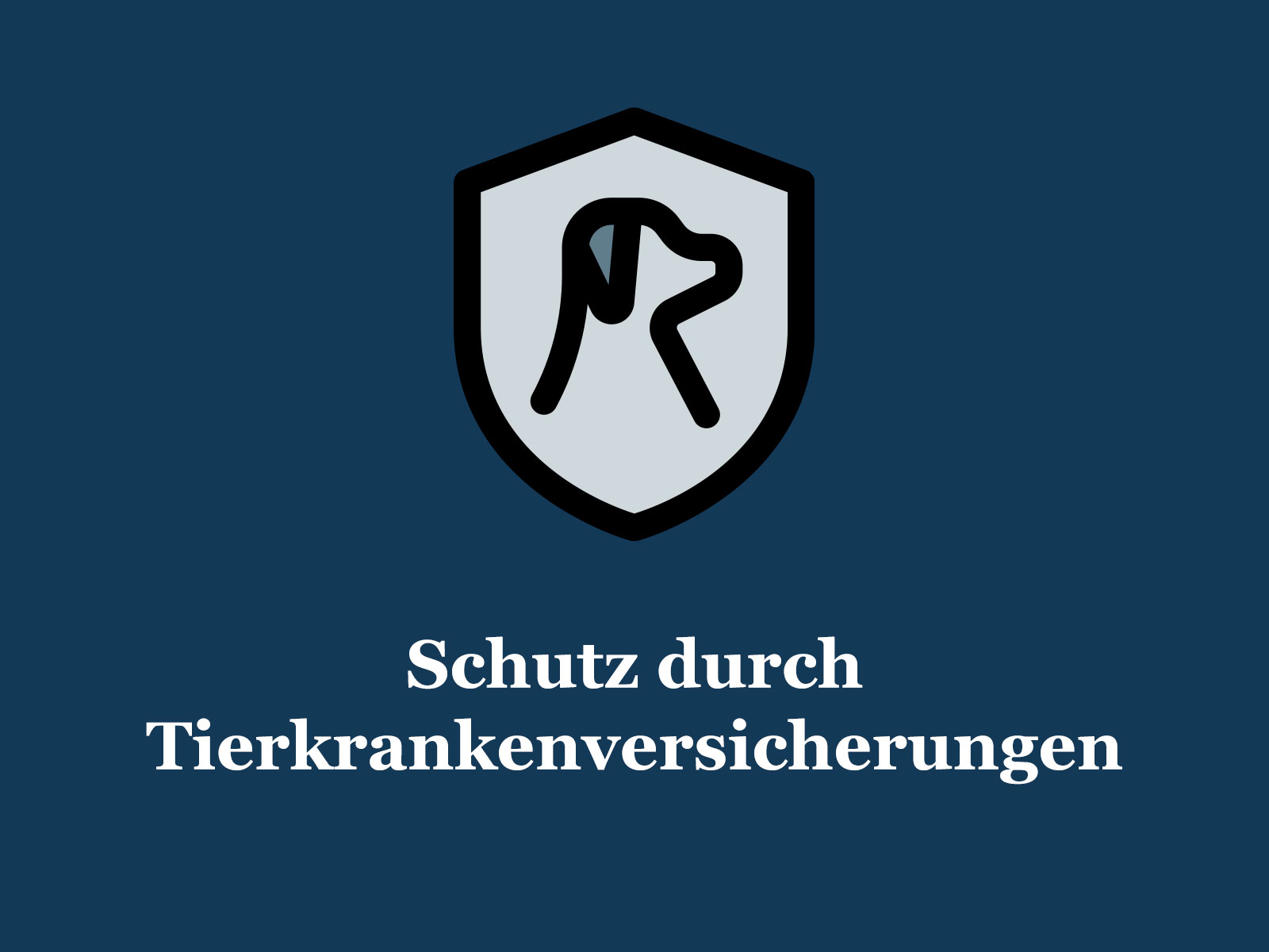 versicherung