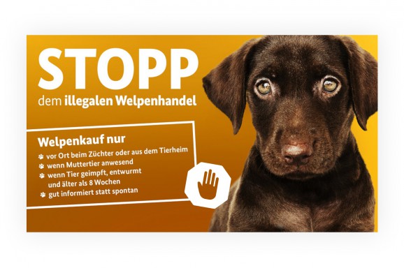 Stopp dem illegalen Welpenhandel